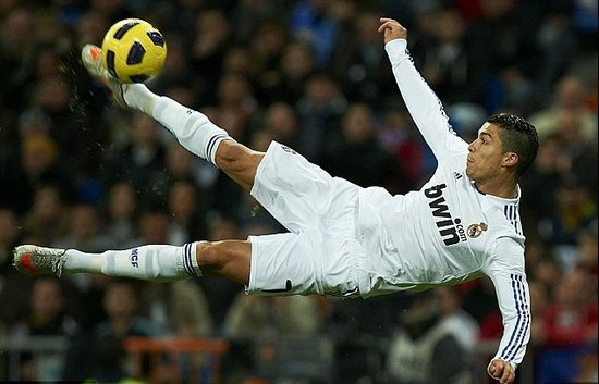 他们完全有 他们完全有